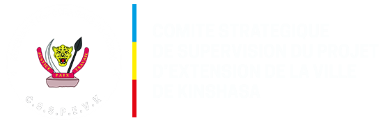 Carte comité strategique NIX copie2