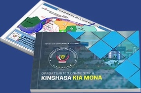 Opportunités d'investir à Kinshasa Kia Mona